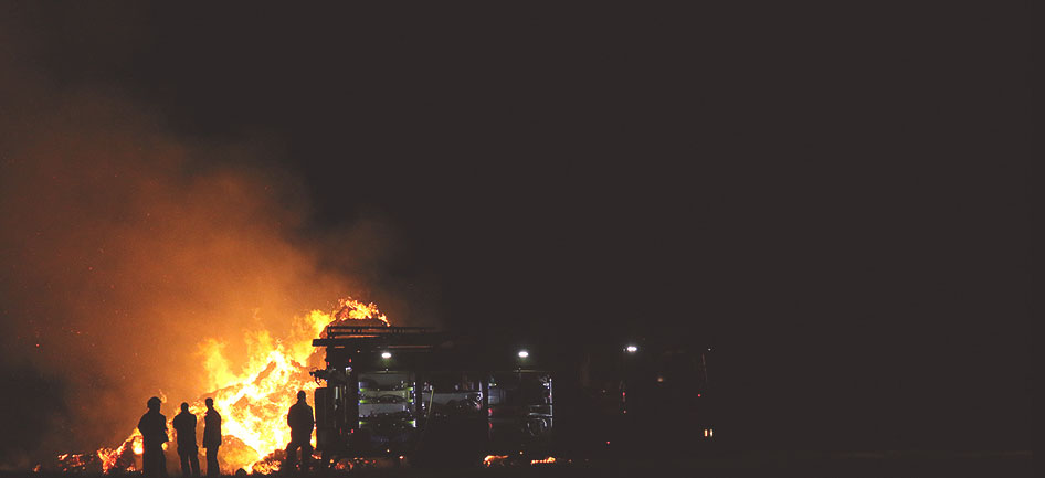 Shoebill Gears Technology